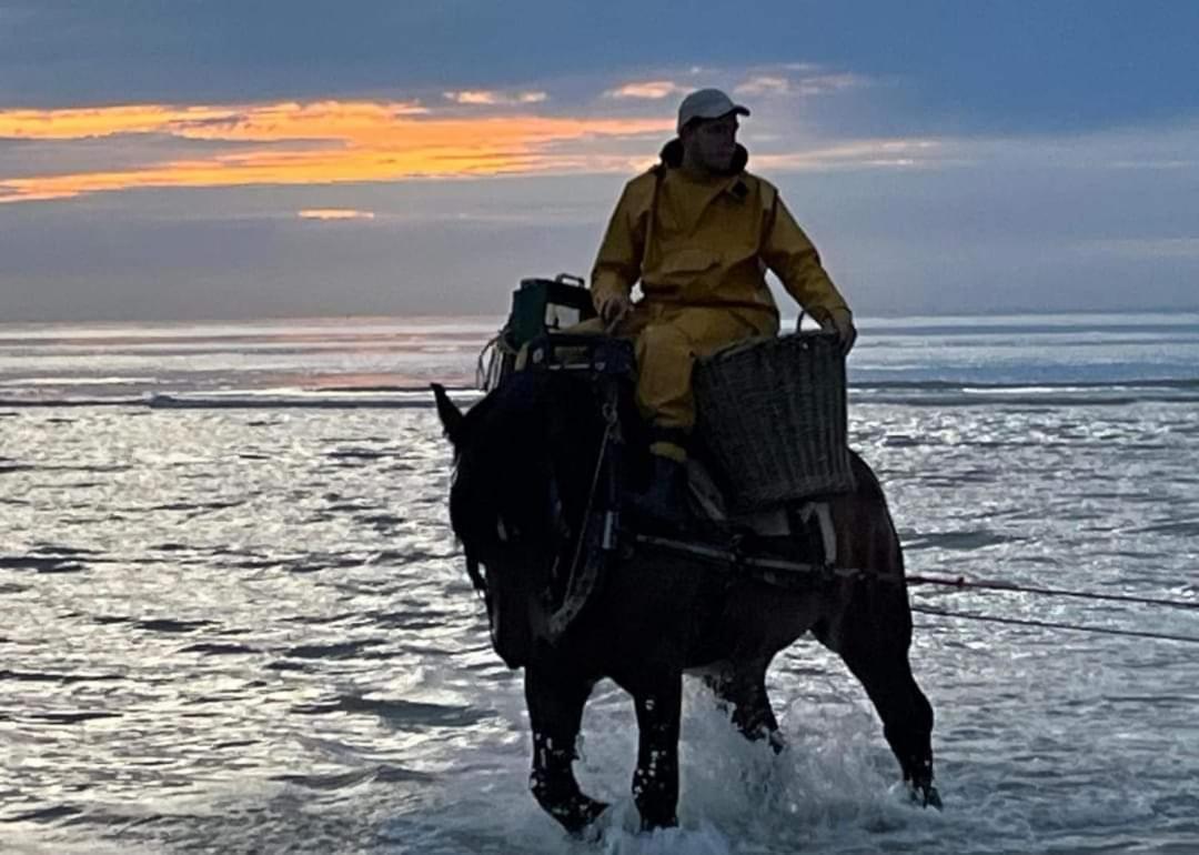 Dunenestje Oostduinkerke Luaran gambar